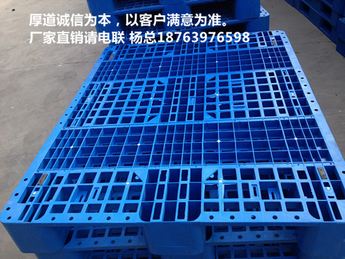 1448159472500537.jpg 437_384247576_IMG_0508_副本.jpg