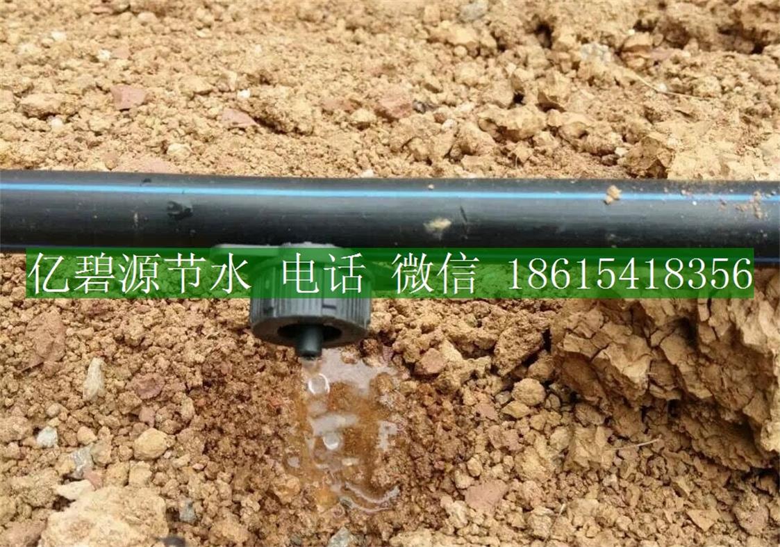 果樹滴灌15.jpg