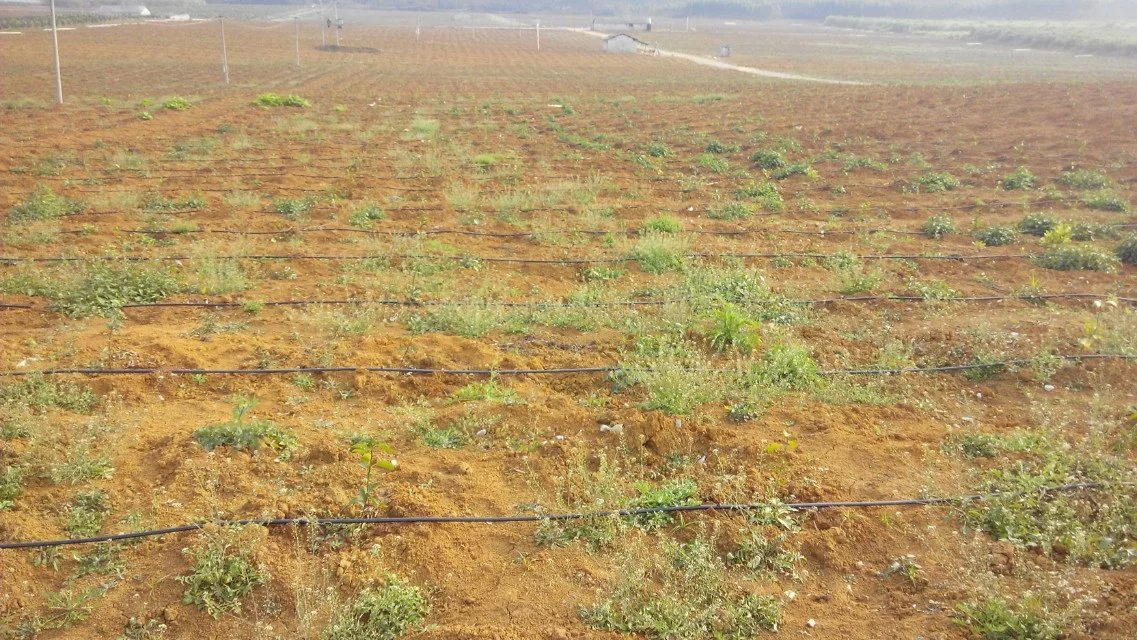 1470100059398693.jpg psb (6).jpg