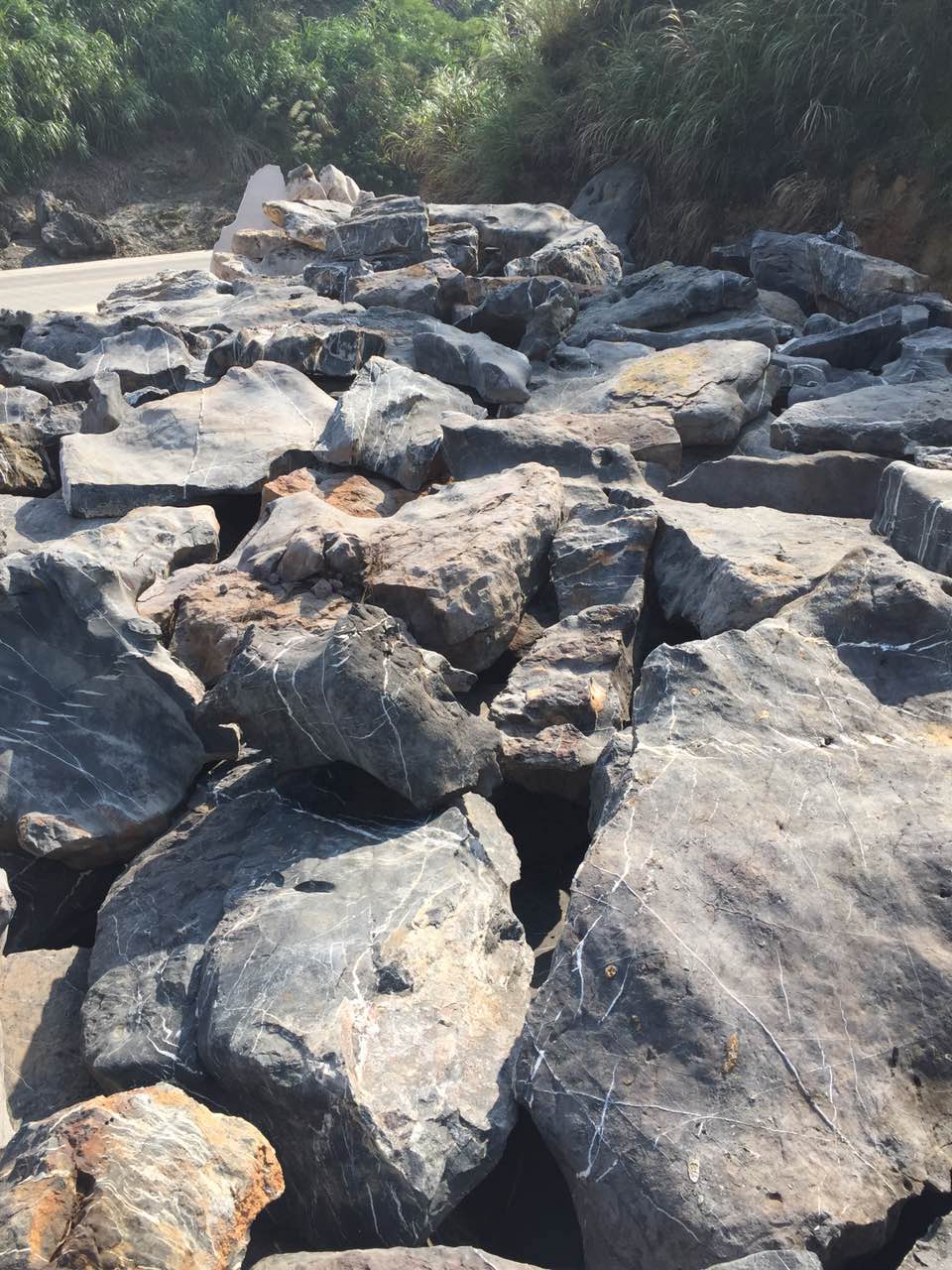 1487146083952785.jpg 118041812671299245.jpg