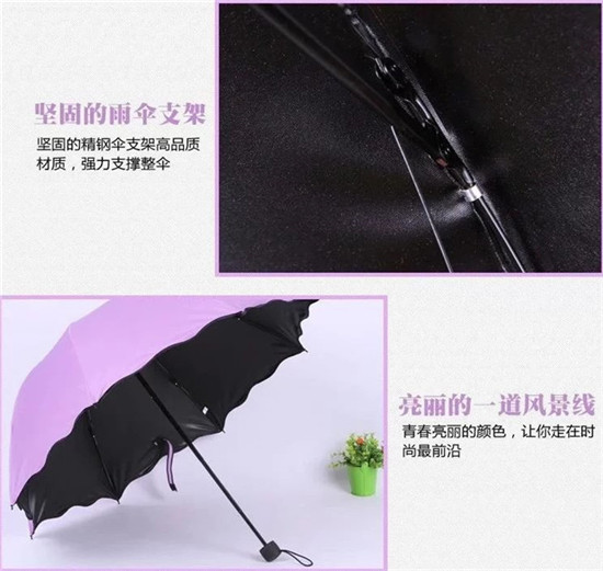 1492056684661095.jpg 9.jpg