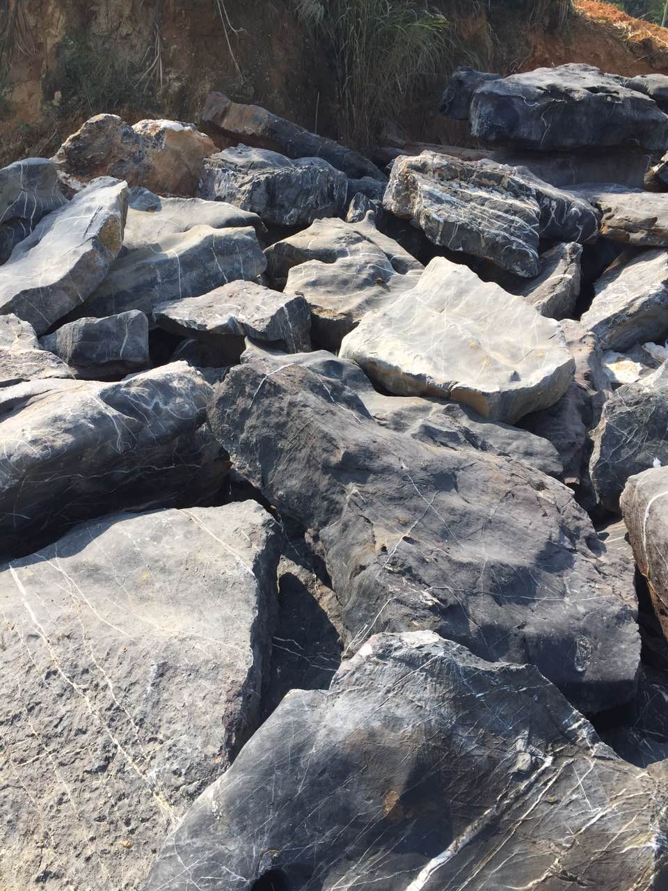 1487146101532426.jpg 519441616826294938.jpg