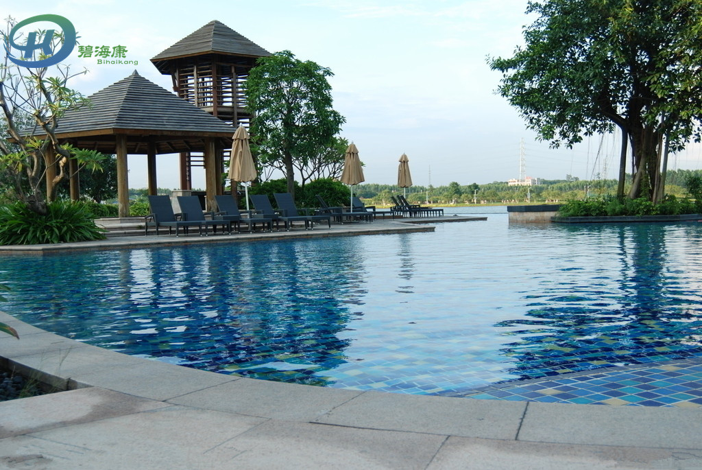 1477636787205269.jpg 游泳池4_副本.jpg