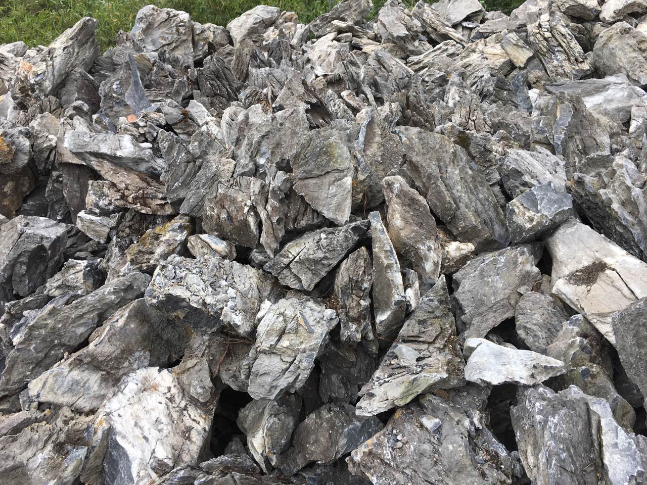 1486968747564778.jpg 400-4.jpg