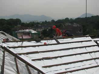 1511662553727345.jpg 2011102909035927.jpg