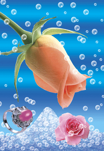 1502779703173325.gif z1_1.1411016473_344_500_975272.gif